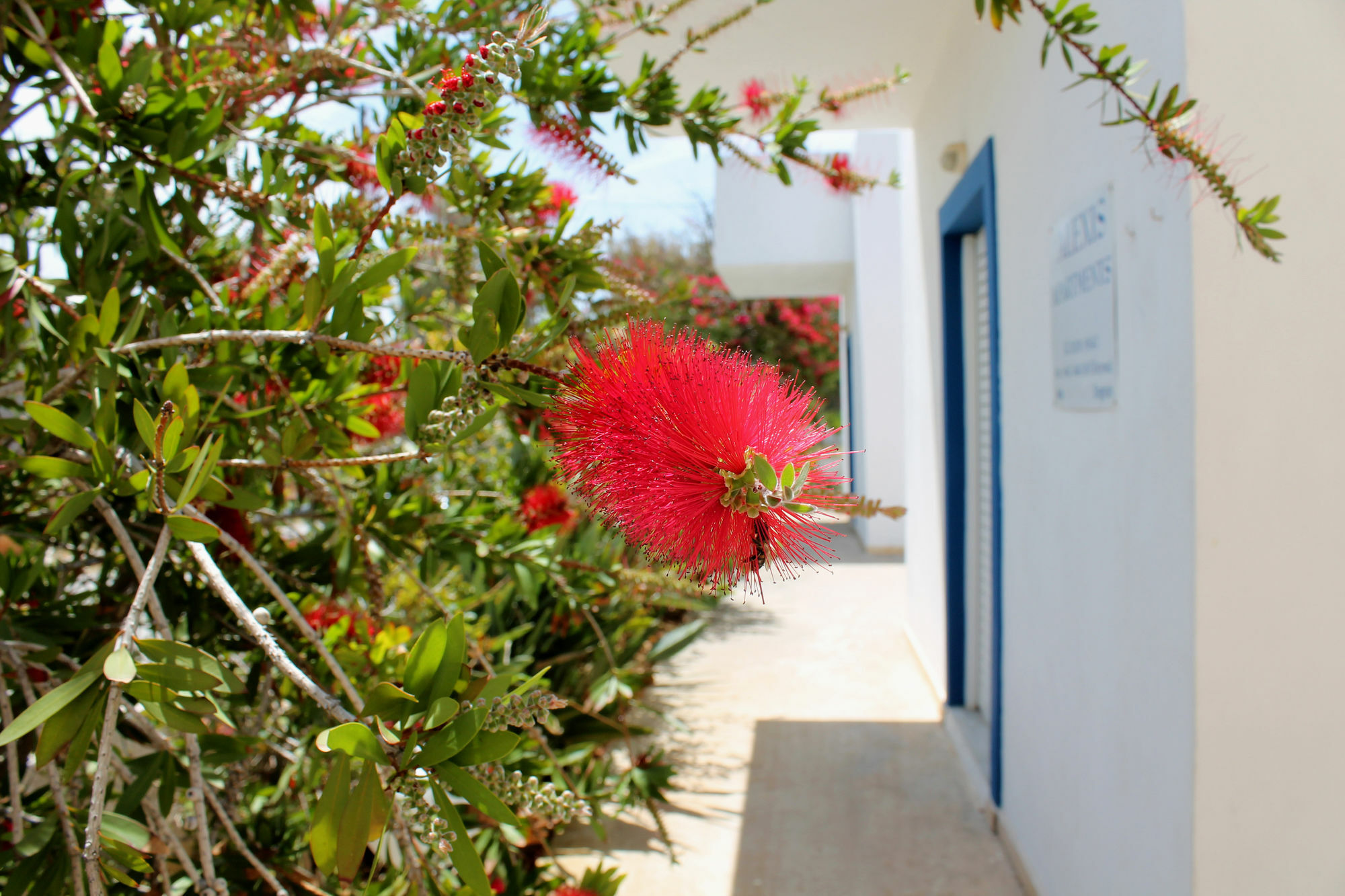 Alexis Apartments Stavros  Luaran gambar